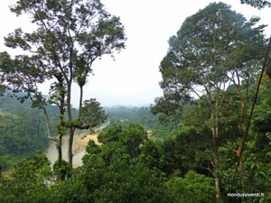 TAMAN NEGARA